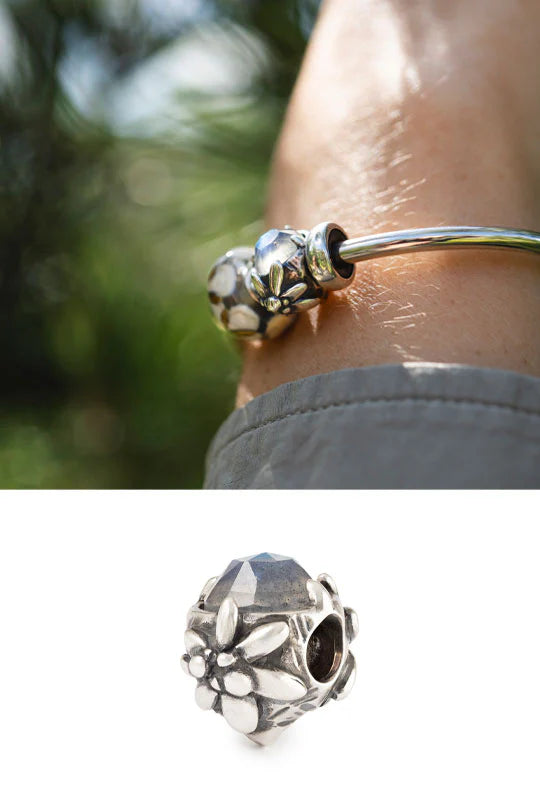 Trollbeadsチャーム(適用 Koala Bead – Trollbeads