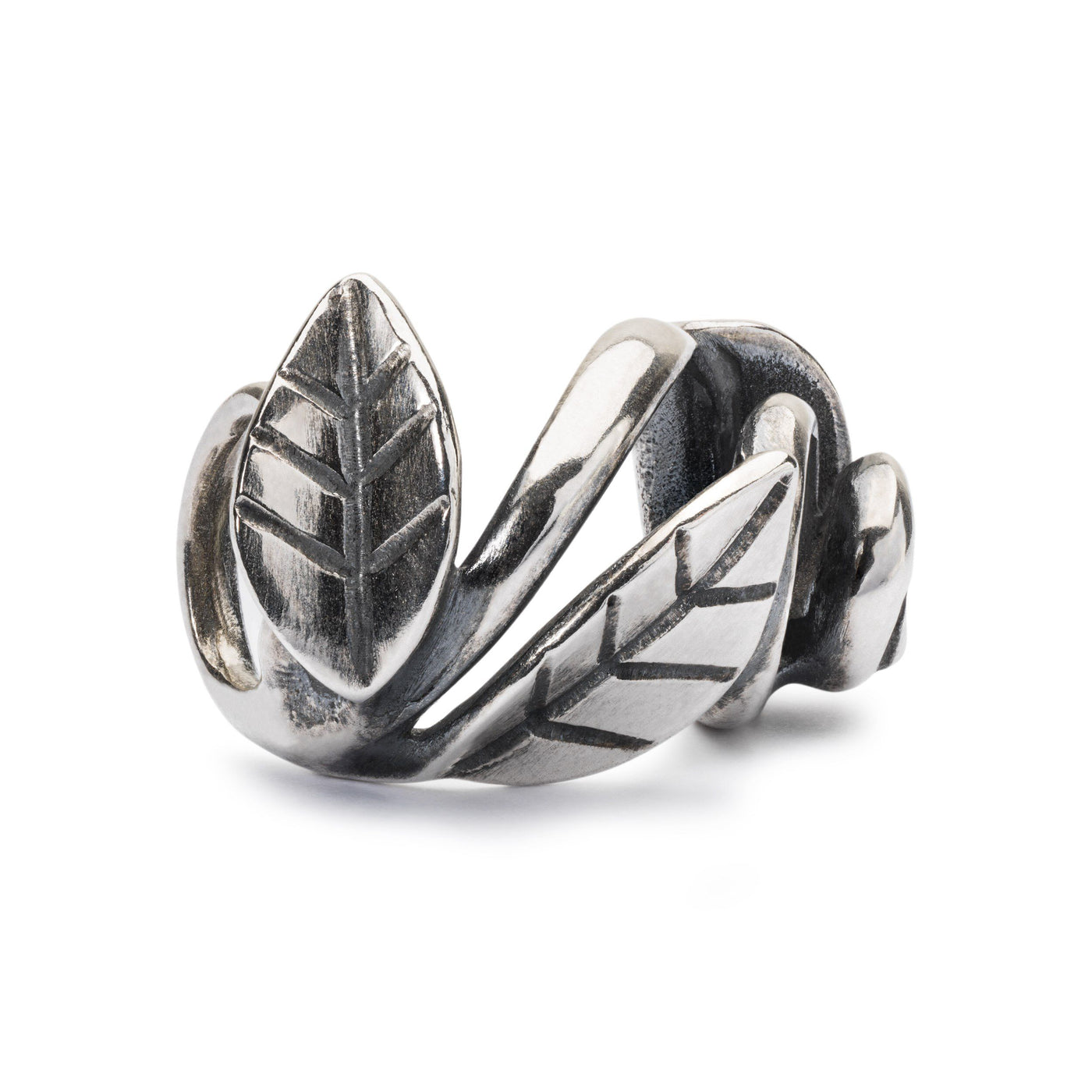 Framed by Nature - Trollbeads Canada