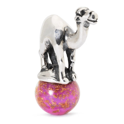 Dromedary Bead